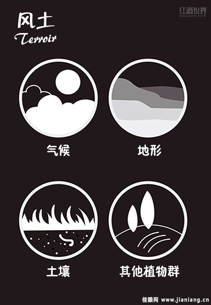 讀懂這9張圖，從葡萄酒“磚家”變“專(zhuān)家”